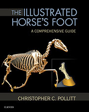 The Illustrated Horse's Foot: A Comprehensive Guide